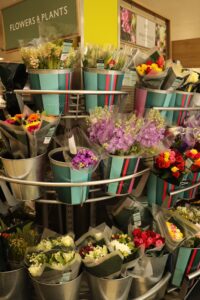 Stock Cut flower (Matthiola cut flower)