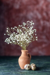 Gypsophila Cut Flower