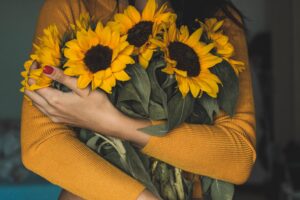 Sunflower Cultivation