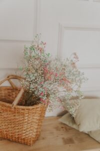 Gypsophila dried flower