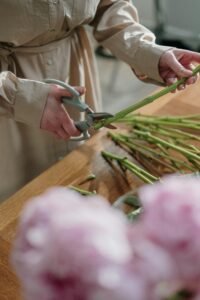 Cut Flower Stem Cutting