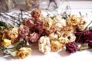 Rose Flower in Dry Flower Arrangements 