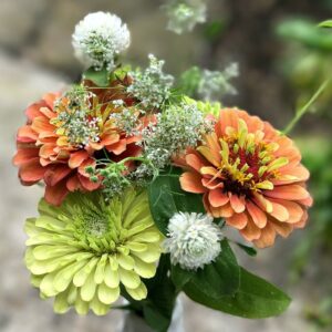 Zinnia Cut Flowers Arrangement 