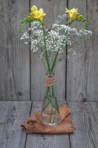 Cut Flower Arrangements of Freesia Flowers