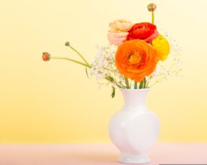 Ranunculus Cut Flowers