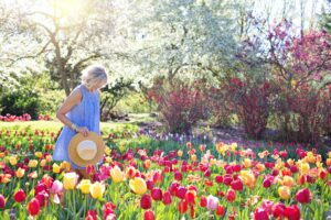 Cut Flower Garden located at Full Sunlight