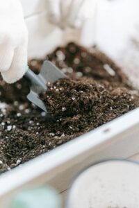 Soil Preparation for Cut Flower Garden